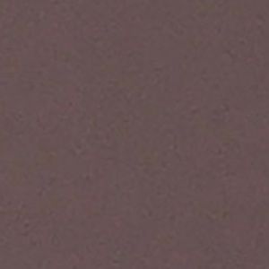 Meet your Posher, Savannah